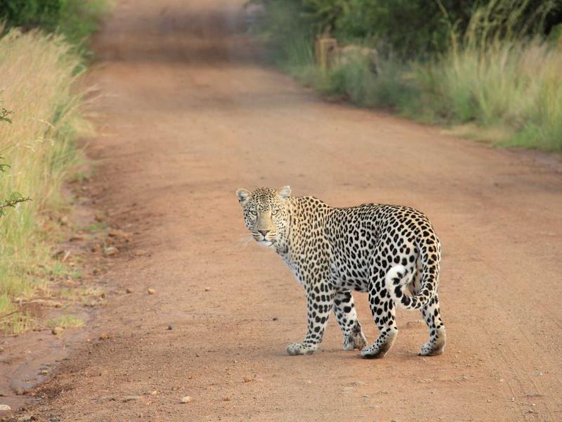 重庆山城<br>qyo4ufag.cn 轻轨穿楼奇观